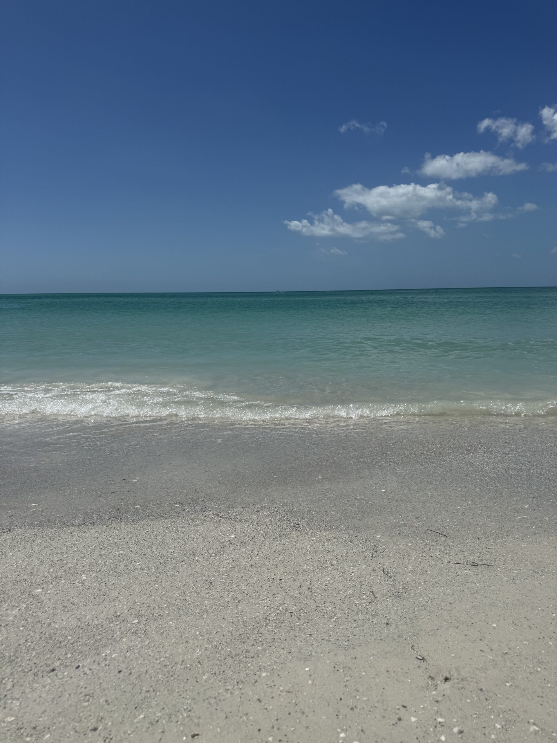 Pass-A-Grille Beach shoreline on a clear day
